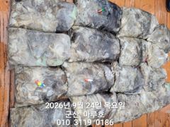 9월 24일 마루호 쭈깨미 최종조항~☆