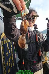 팔포항 스피드피싱 조황 사진