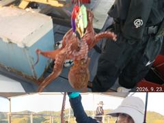 "" 돌문어 "" 내일나갑니다.(내일예약가능)