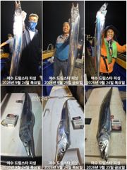 [여수,광양] (여수 드림스타)간만에 쿨러가 무거워!~씨알급 용가리로 만땅?!…