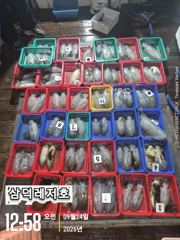 [팁런]k,k,무시급들, 원도권,집중출조(토.일,출항확정)