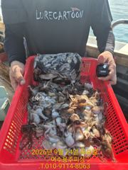 여수용주피싱 9월 쭈.갑오징어 출조 모집 합니다