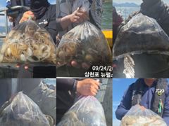 뉴펄스호 삼천포 쭈꾸미 핫해요~~