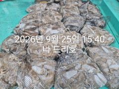 25일, 즐건 한가위에 낚인 군산주꾸미~갑이랑 잘 나오네요~ 굿굿조황~군산낚시프라자 나드리호