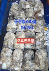 군산킹스타호(9/25반일반) 쭈꾸미 굿~마무리조황 (내일 1자리…