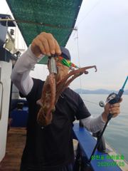 오늘문어조황.일요일 왕쭈 출조 선수모집.주꾸미 쭉~예약중입니다.즐기시러 오세요