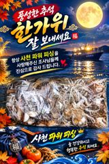 팔포항 파워피싱 주꾸미 조황 사진