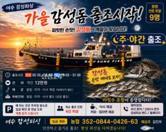 26일(토)마릿수감성돔출조합니다