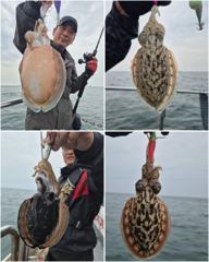 ■ 9/25 군산 \\\"쭈/갑\\\" 오늘도 대박조황~!! 내일 자리여유~!!