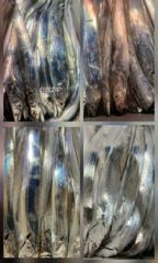 26일 입항 대치들로 쫘아악~