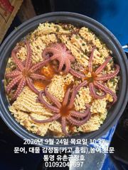 통영 금정호 내일 오전문어 자리여유있습니다