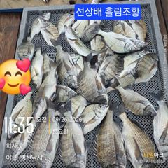 병산 감성돔37외 마리수 농어 선상배및 선외기 흘림조황~~