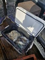 9월26일 오전.오후배 같이 올립니다~^^ 조사님들 많이 못잡으셨어도 많이 잡으셨어도 앞으로 가져..