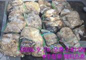 먹물조황 글만 보기