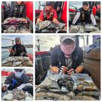문어 글만 보기