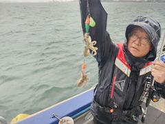 목화피싱 9/26일 쭈꾸미낚시 장대빗속에 왕쭈꾸미 갑오징어 조황 고150~50이요.