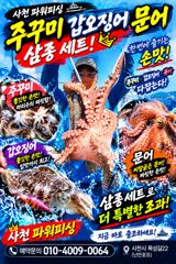팔포항 파워피싱 돌문어 · 주꾸미 조황 사진