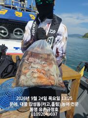 통영 금정호 내일 문어선상 정상출항합니다 자리여유있습니다