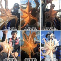 (여수 드림스타)돌문어사냥 나갑니다. 전투낚시 전투낚시