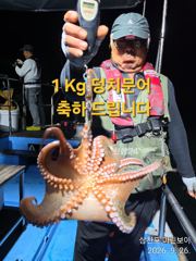 삼천포 마린보이 9. 26. 토요일 야간문어 마릿수 대박 조황으로 다녀왔습니다.