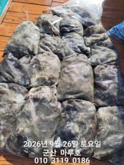 ☆ 9월 26일 마루호 쭈꾸미 최종조항~ ☆
