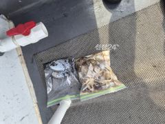 9월26일출조조항