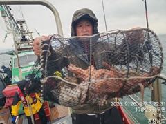 [진해] 26일세진호/돌문어빗속에kg.마릿수~월.가능~