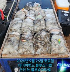 ★★ 9 / 26 [군산 대일피싱] 뉴 블루스타호 쭈꾸미 조황 내일 5자리 있습니다.