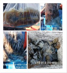 광진호,왕쭈 장원145수{평일,할인}쭈꾸미 자리여유 예약중
