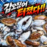 [팀바이트호] 9월27일 갑오징어 낚시