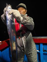뉴 태진호 먼바다 왕갈치 조황!!!!( 오늘 오후3시출항)!!!