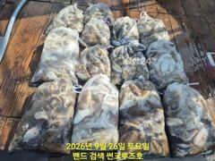 26일 군산썬크루즈호 쭈꾸미 조황입니다