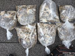 사천피싱스타 주꾸미 조황입니다 내일 자리여유
