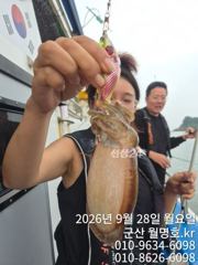 28일 오전반