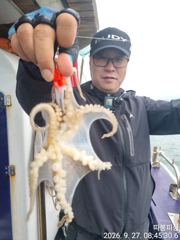 [사천] 왕쭈꾸미 사리물때 조항 좋습니다 ~29일 화욜 예약가능 합니다