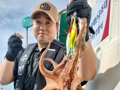사량도 굴어장문어 실시간조황~ 주야 병행출조