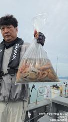 [통영] 통영서하호 28일 초보분들 전원 두자리수 철수조황입니다