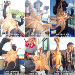 (여수 드림스타)돌문어사냥 나갑니다. 돌문어만 공격! 자리여유 많아요