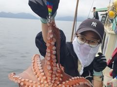 돌문어 1800g1600g외 키로급만 10여수 씨알 대박.. ( 내일예약가능 )