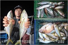 참돔.4짜 대전갱이외 호조황.