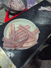 갈치