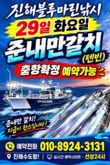 준내만갈치)텐빈~씨알급 시즌이 왔습니다(내일.수.모.금.일 예약가능합니다)