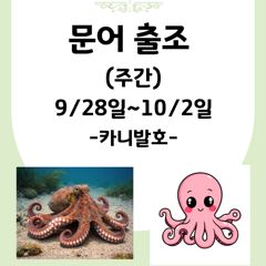 ▶▶ (군산. 웅비1호) 내일. 9/30. 주꾸미~정상출항해요!