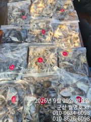 29일 쭈꾸미오후반