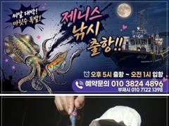 [진해] 팁런무늬오징어 세자리마릿수 내일예약가능합니다