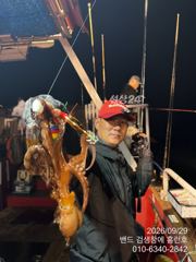 29일 야간 홈런호 17분 문어 실시간 조황