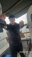 내일부터 쭈꾸미 황금물때 무조건출동