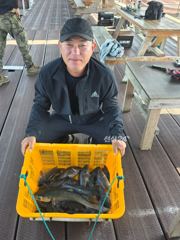 도비도항 도비도 낚시타운 조황 사진