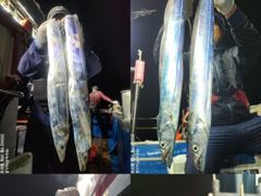 [여수,광양] <여수뉴피닉스호> 씨알좋은 갈치출조ㅡ 이번 금요일(2일) 자리많…
