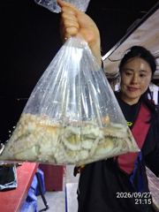 돌문어 사이즈,마릿수 좋습니다!예약가능!